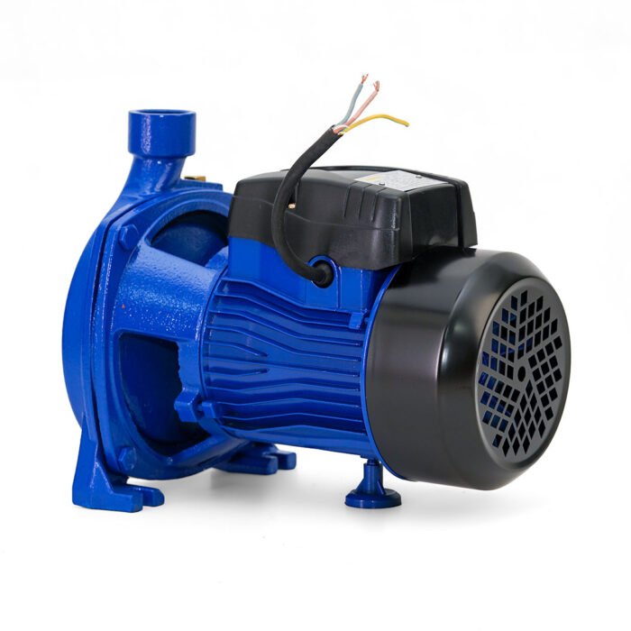 Water Pump CPM158, 1HP - Image 2
